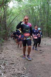 BIB: 2474, 42723
                            <button type="button" onclick="openModal(4128167)" class="btn btn-primary btn-sm float-right btn-popup" data-toggle="modal" data-target=".modal-high-quality">
                        <i class="fas fa-shopping-cart"></i> Add to Cart
                    </button>
                                            <button type="button" onclick="isThisMe(4128167, true)" class="btn btn-success btn-sm float-right btn-popup btn-isme hidden" data-toggle="tooltip" data-placement="bottom" title="นี่คือรูปของคุณใช่ไหม คลิกที่นี่เพื่อเอาเข้าอัลบั้ม">
                        <i class="fas fa-plus"></i> Add to album
                    </button>
                    <button type="button" onclick="isThisMe(4128167, false)" class="btn btn-warning btn-sm float-right btn-popup btn-isnotme hidden">
                        <i class="fas fa-ban"></i> Remove from album
                    </button>